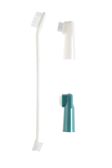 Beauty and care > 3 assorted tooth brushes | GIMBORN